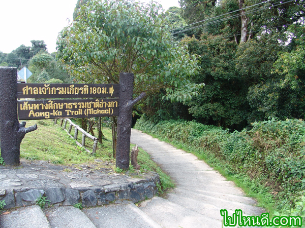 เส้นทางเดินป่าอ่างกา