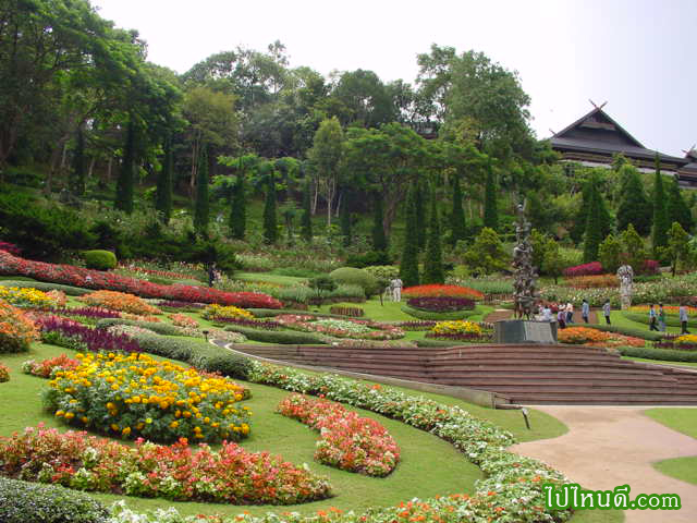 ลานไม้ดอก