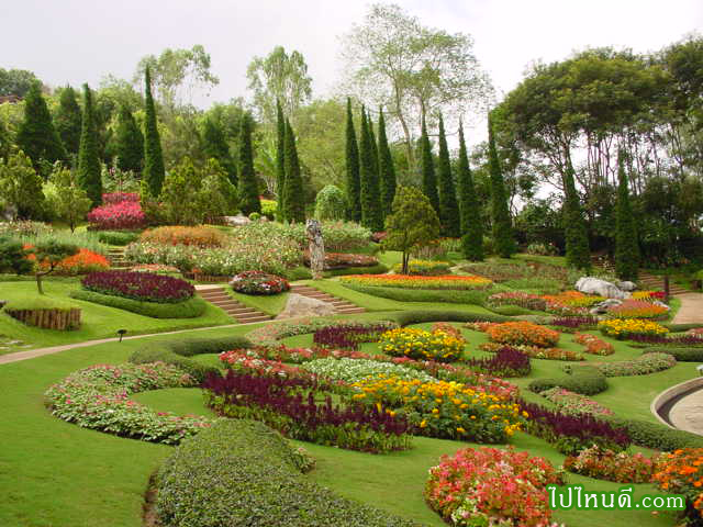 ลานไม้ดอก