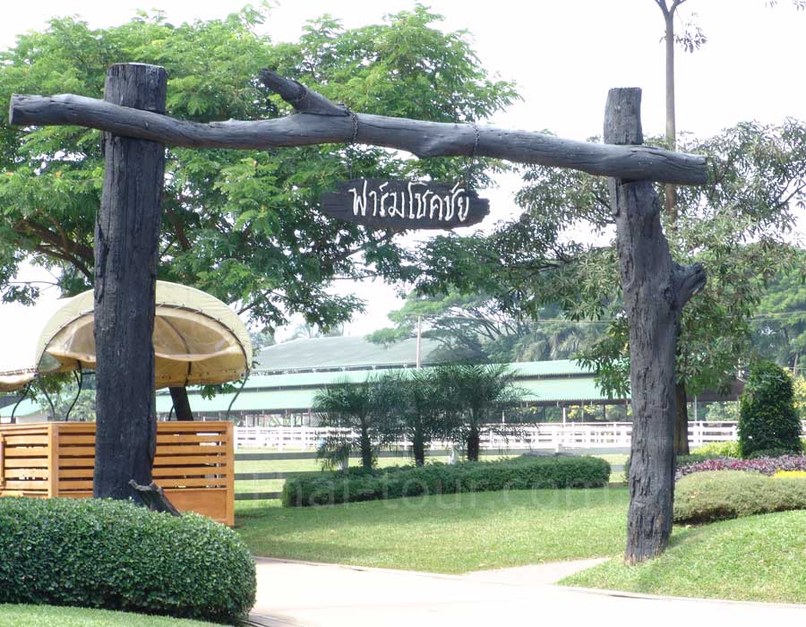 farm chokchai