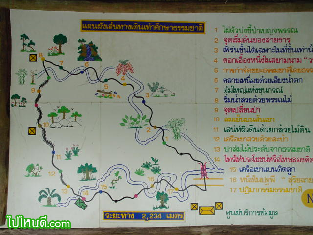 เส้นทางเดินป่า
