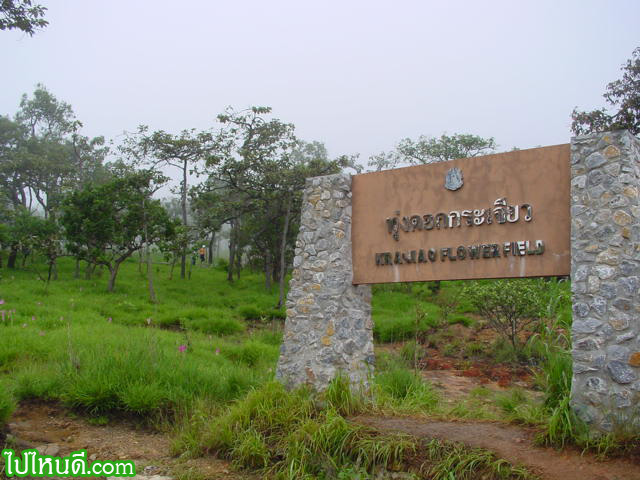 ป้ายทางเข้า-ออก ทุ่งดอกกระเจียว