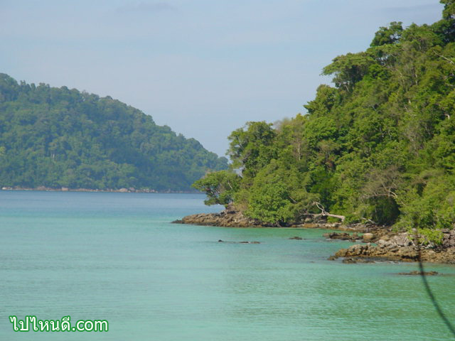 ทะเลแถว หาดไม้งาม