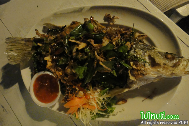 ปลากระพงทอดสมุนไพร