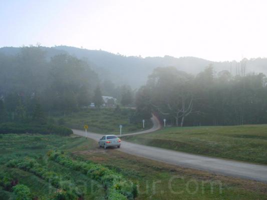 ถนนภายในสถานีเกษตรหลวงดอยอ่างขาง