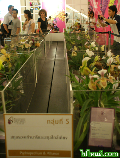 รองเท้านารี