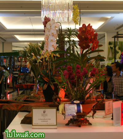 กล้วยไม้ที่ได้รางวัล