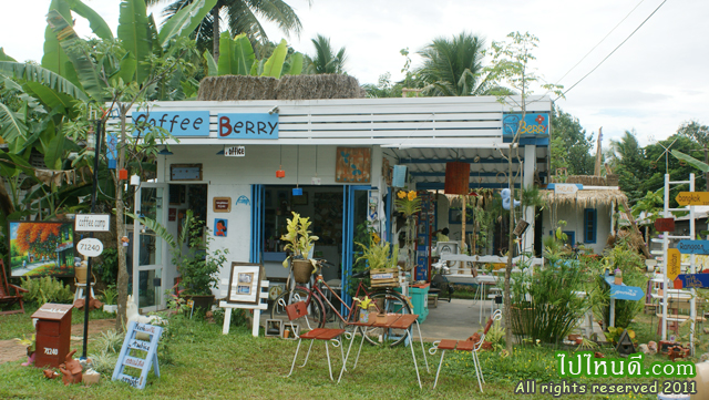 Coffee Berry in Sangkhla