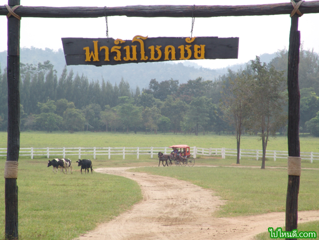 บรรยากาศในฟาร์มฯ