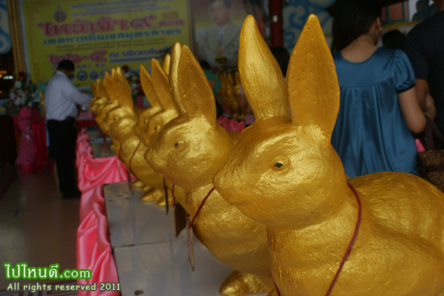 กระต่ายทองคำ