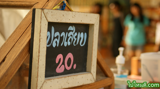 ปลาเสียบ