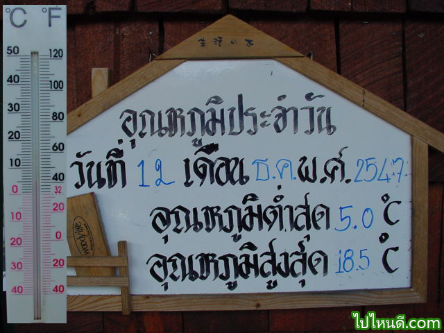 5 องคาเซลเซี่ยส ที่ดอยอ่างขาง