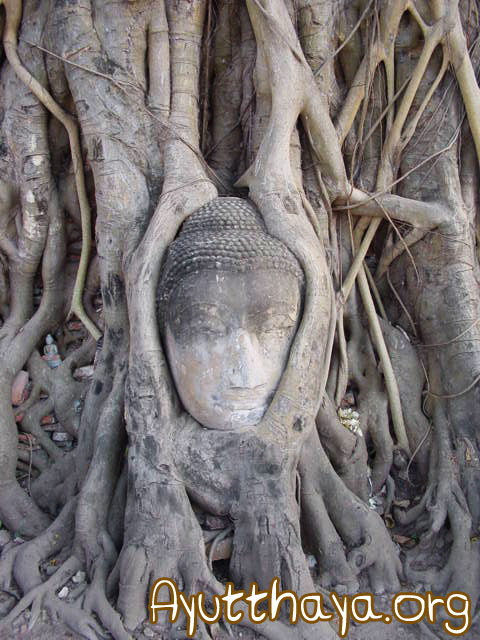 วัดมหาธาตุ