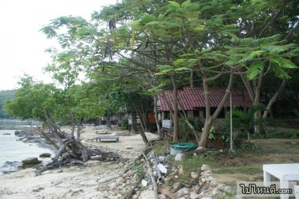 บ้านพักที่หาดแสงเทียนนี้จะออกแบบมาคล้ายๆกับกระท่อม รอบๆนั้นก็จะมีแต่ร่มไม้บรรยากาศร่มรื่นเย็นสบาย