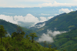 อุทยานแห่งชาติดอยภูคา