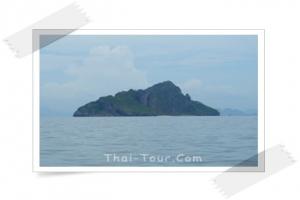 Koh Yung