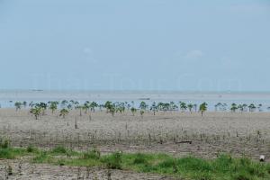 หาดสระบัว