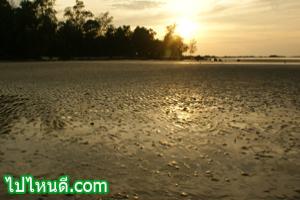 หาดไม้รูด