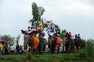 ประเพณีบวชนาคช้างเฉลิมพระกียรติ