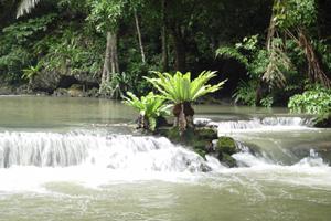 อุทยานแห่งชาติธารโบกขรณี