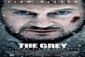 the-grey