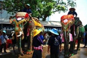 งานประเพณีแห่ช้างบวชนาคไทยพวนบ้านหาดเสียว