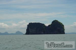 เกาะม้า-ตรัง