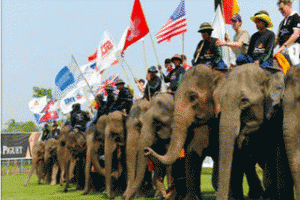 การแข่งขันโปโลช้างชิงถ้วยพระราชทาน-ประจำปี-2555