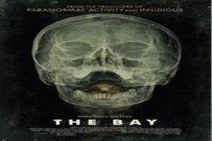 the-bay