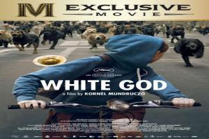 white-god