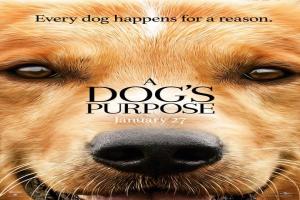 dogs-purpose