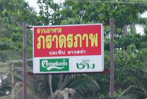ร้านภราดรภาพ-ชุมพร
