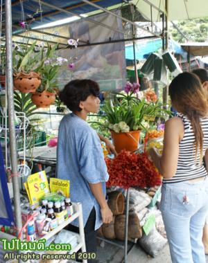 ตลาดจลิ่งชัน (บนบก)